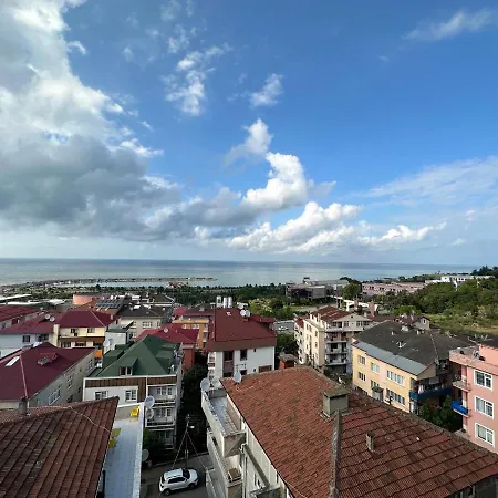 Bulbul * Trabzon