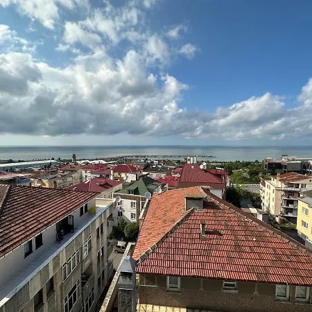 Bulbul * Trabzon