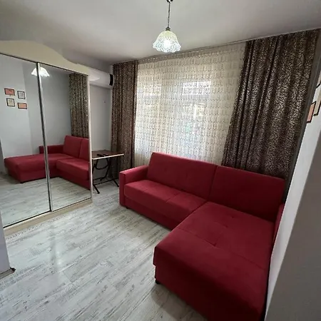 Bulbul Trabzon